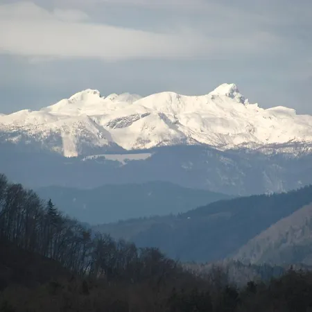 Pri Vrtnici