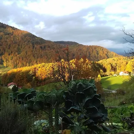 Lejlighed Pri Vrtnici Smartno ob Paki