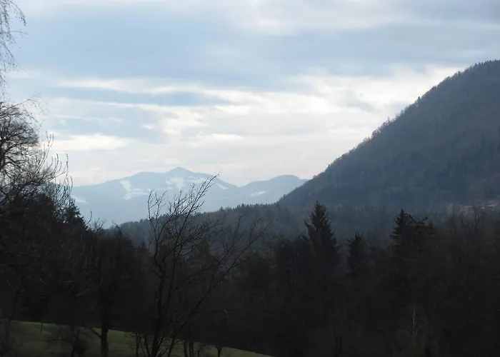 Pri Vrtnici Smartno ob Paki