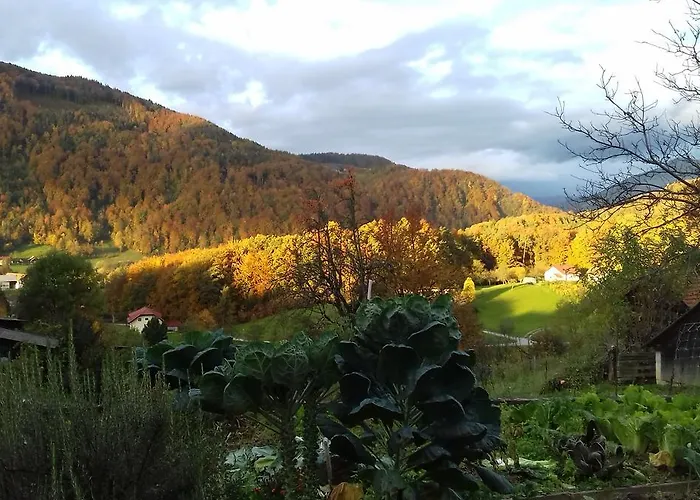 Appartement Pri Vrtnici Smartno ob Paki