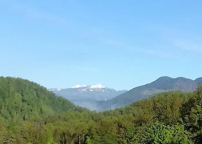 Pri Vrtnici Appartement